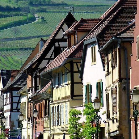 Ferienwohnung La Sorciere In A Typical Alsatian House Rouffach Exterior foto