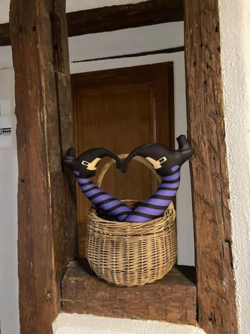 Ferienwohnung La Sorciere In A Typical Alsatian House Rouffach Exterior foto
