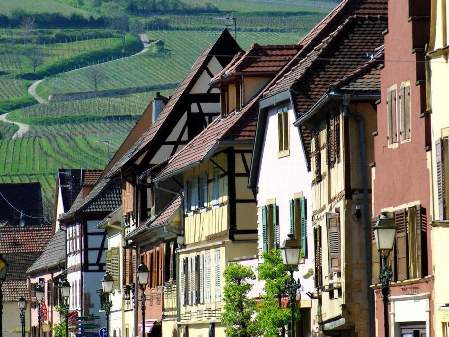 Ferienwohnung La Sorciere In A Typical Alsatian House Rouffach Exterior foto